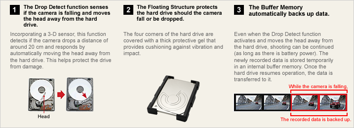 Anti-Shock Shield