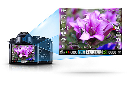  What you see is what you get 