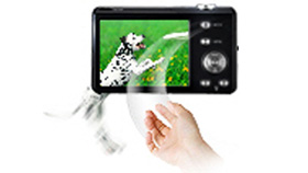 Digital Image Stabilization