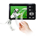 Digital Image Stabilization (DIS)