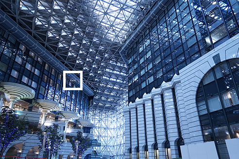 Beautiful Detail Reproduction In Every Shot