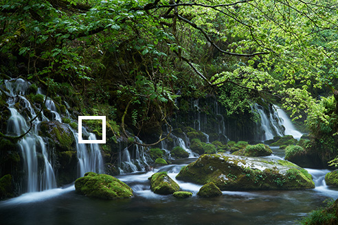 High Sensitivity For Low Noise Performance