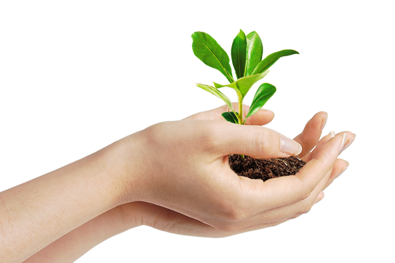 Teamgorup-Xtreem Micro SDXC UHS-II U3