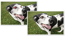 Red Eye Removal