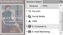 Business Catalyst integration