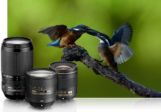 Photo of birds photographed with the Nikon D610, inset with a trio of NIKKOR lenses