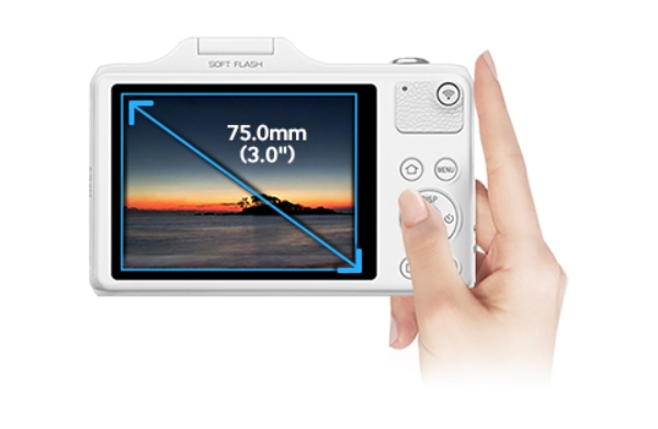 Intelligent LCD 