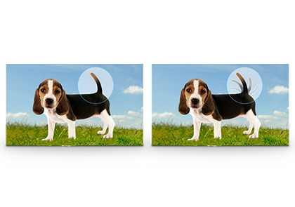 Add action to your still photos