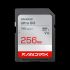 SanDisk 256GB Ultra GO SDHC and SDXC UHS-I Card (SDSDUGN-256G-GN6IN)